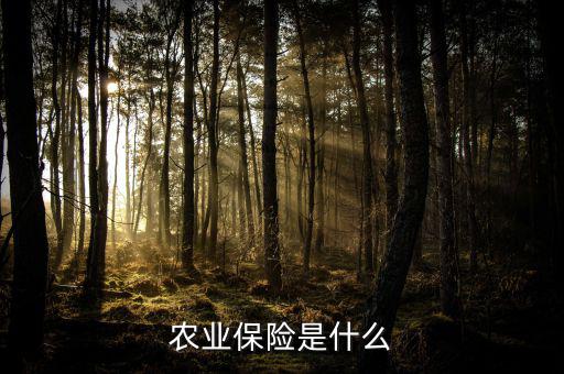 傳統(tǒng)農(nóng)業(yè)保險(xiǎn)主要保什么風(fēng)險(xiǎn)，農(nóng)業(yè)保險(xiǎn)是什么