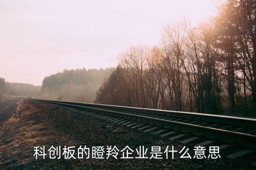科技創(chuàng)新板是什么，科技創(chuàng)新指什么