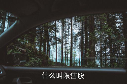 什么是上市公司限售股，什么叫限售股份