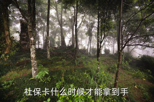 社?？ㄊ裁磿r(shí)候才能拿到手