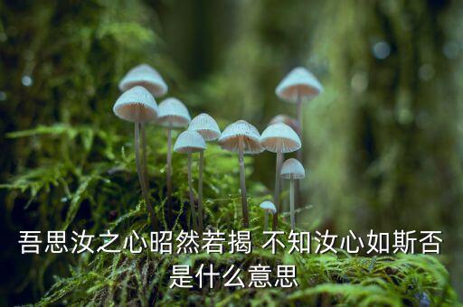 什么之心昭然若揭，恨娶之心昭然若揭是什么意思