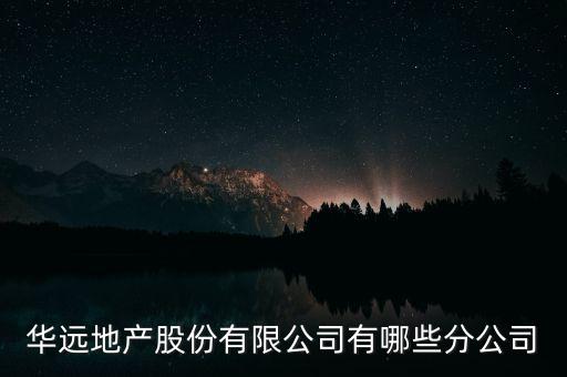 華遠地產(chǎn)股份有限公司有哪些分公司