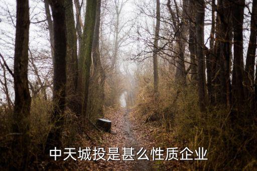 中天城投是什么概念，中天城投在這么些年的發(fā)展中涉及了哪些行業(yè)