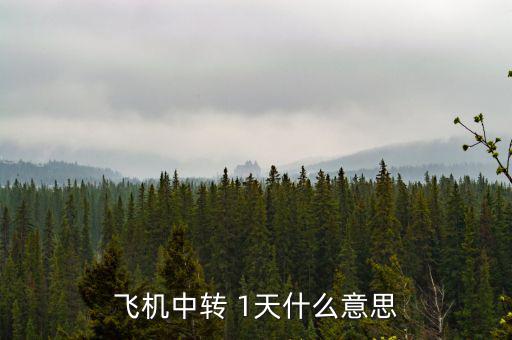 飛機中轉 1天什么意思