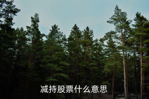 股票減持是什么意思，股票減持是什么意思