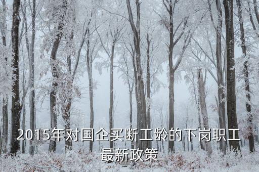 中鋁公司買斷有什么政策，2015年對國企買斷工齡的下崗職工最新政策