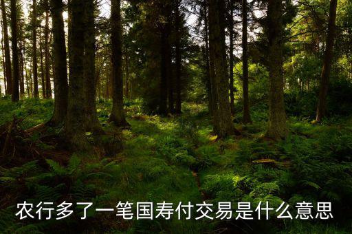 國(guó)壽交易是什么，農(nóng)行多了一筆國(guó)壽付交易是什么意思
