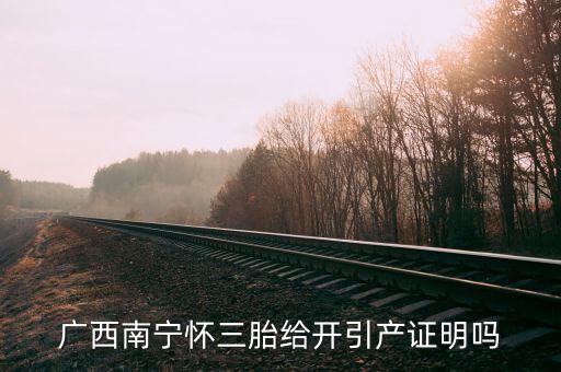 a廣西南寧生三胎有什么政策，2014年廣西人均收入2595元超生三胎罰款是多少錢