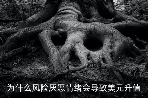 sdr和美元指數(shù)構(gòu)成有什么關(guān)系，為什么A股和美元指數(shù)有關(guān)系