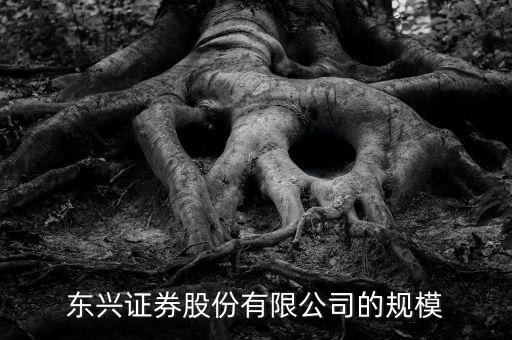 東興證券為什么是龍頭，東興證券這家證券公司怎么樣
