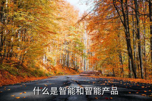 什么是智能產(chǎn)品，智能產(chǎn)品數(shù)碼產(chǎn)品電子產(chǎn)品它們有什么區(qū)別
