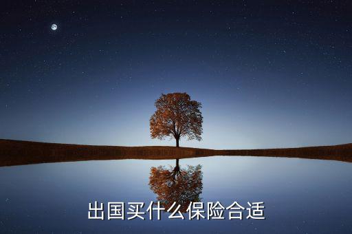 什么保險(xiǎn)長期在國外有用，什么保險(xiǎn)有去國外玩的保障啊