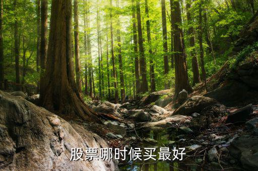 股票買(mǎi)什么段，股票哪時(shí)候買(mǎi)最好
