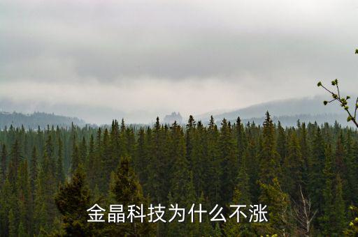 金晶科技為什么不漲，金晶科技為什么不漲