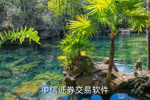 中信證券的交易軟件是什么，中信證券用什么軟件的