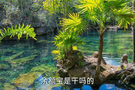 余額寶是什么，余額寶是干嗎的