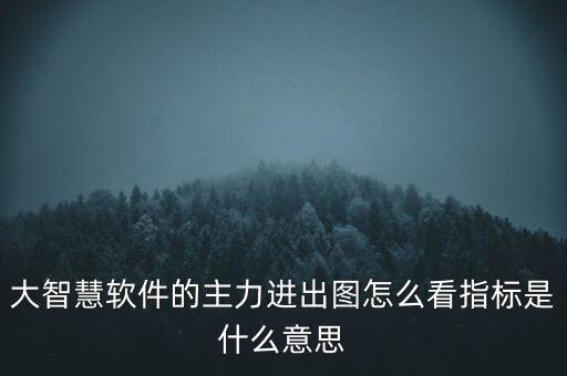 大智慧主力動向指標是什么意思，大智慧軟件的主力進出圖怎么看指標是什么意思