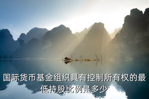 imf是什么，洋文字wto什么意思