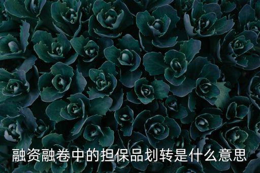 什么是劃轉(zhuǎn)，劃撥轉(zhuǎn)賬是什么意思
