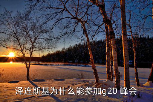 新能源峰會(huì)怎么參會(huì),澤倫斯基或在線(xiàn)參會(huì)g20峰會(huì)