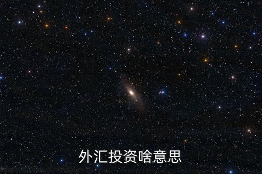 外匯融資是什么意思，外匯投資啥意思