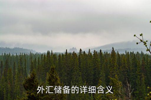 外匯儲備包括什么，外匯儲備指什么是用黃金或紙幣來儲備