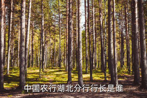 中國(guó)農(nóng)行湖北分行行長(zhǎng)是誰