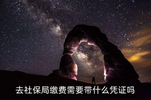 去社保局申報(bào)年度繳費(fèi)工資需要帶什么證件，去社保局繳費(fèi)需要帶什么憑證嗎