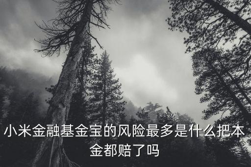 小米金融基金寶為什么一直跌，小米金融基金寶我投了100元為什么還在確認(rèn)當(dāng)中何時(shí)贖回