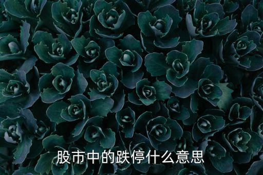 跌停是什么意思，跌停是什么意思