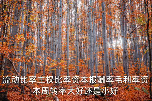流動(dòng)比率是什么，小姐姐在線等急如果沒有給出流動(dòng)比率怎么計(jì)算流動(dòng)資產(chǎn)總額