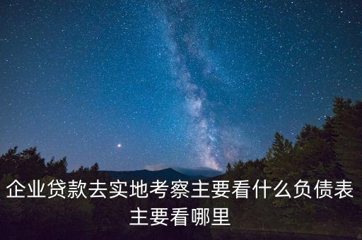 貸款實(shí)地考察做些什么，企業(yè)貸款去實(shí)地考察主要看什么負(fù)債表主要看哪里