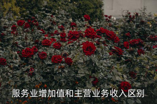 服務(wù)業(yè)增加值和主營業(yè)務(wù)收入?yún)^(qū)別