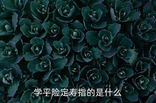 學(xué)平險(xiǎn)定壽指的是什么
