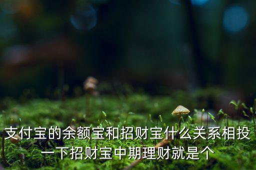 支付寶的余額寶和招財寶什么關(guān)系相投一下招財寶中期理財就是個