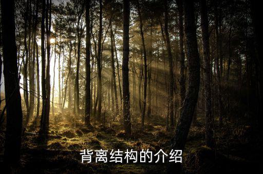 什么是帶結(jié)構(gòu)的背離，背離結(jié)構(gòu)的介紹