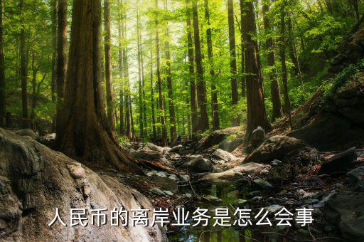 為什么會(huì)有離岸人民幣，人民幣的離岸業(yè)務(wù)是怎么會(huì)事