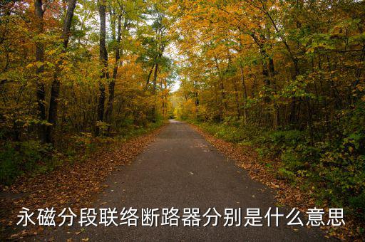 什么是永磁開關(guān)，什么是永磁