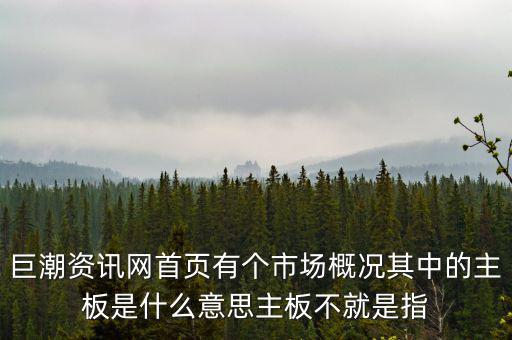 巨潮資訊網(wǎng)首頁有個(gè)市場概況其中的主板是什么意思主板不就是指