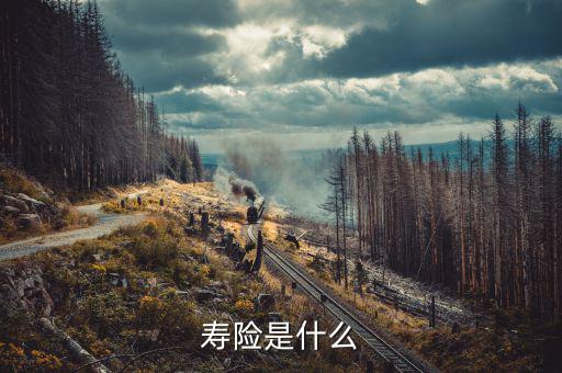 什么是壽險(xiǎn)，壽險(xiǎn)是什么