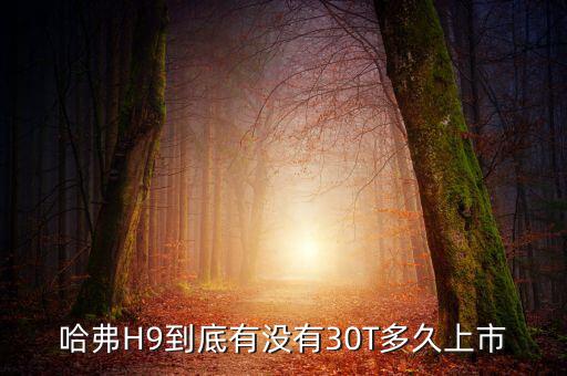 長城汽車h9什么時候上市，哈弗H9到底有沒有30T多久上市