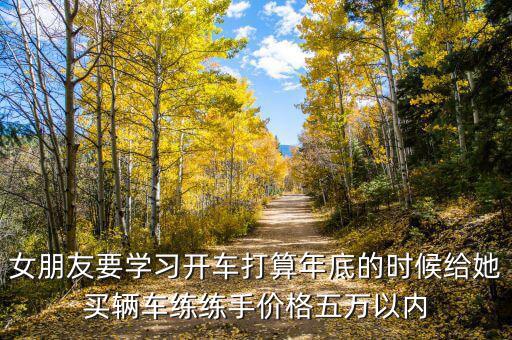 600635后面的符號是什么意思，女朋友要學習開車打算年底的時候給她買輛車練練手價格五萬以內