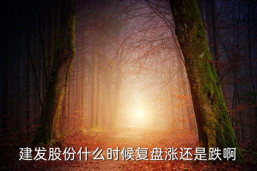 002719股什么時候復(fù)盤，000719什么時候復(fù)牌啊