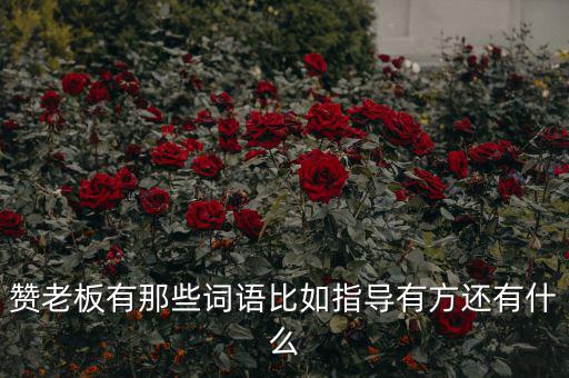 什么成語能夠形容房地產(chǎn)老板，贊老板有那些詞語比如指導有方還有什么