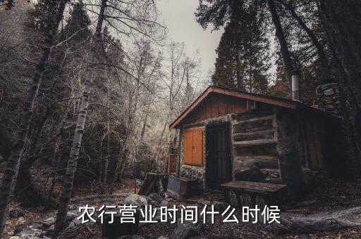 農(nóng)行什么時(shí)候上班，農(nóng)行上班時(shí)間