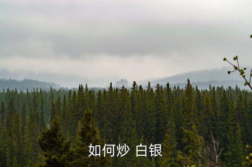 如何炒 白銀