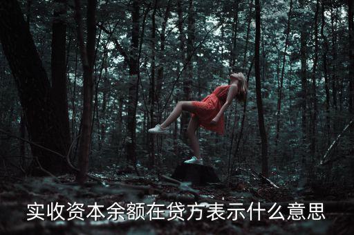 什么是資本余額，什么是資本性資金誰知道請告訴我謝謝
