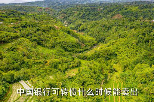 中國銀行可轉債什么時候能賣出