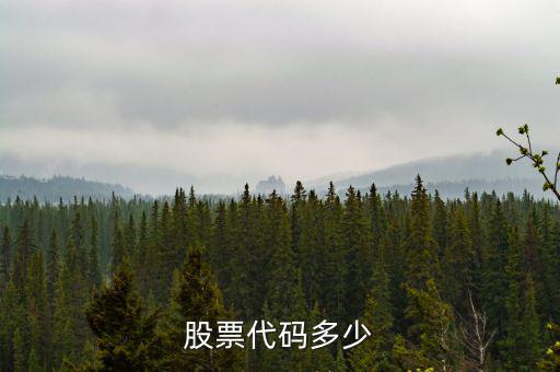 b股代碼以什么開頭，a股和b股代碼怎樣區(qū)分