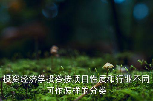 什么是公共消費性投資，如何理解消費投資